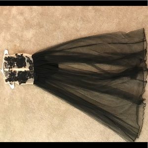 Fashion nova nude & black mesh dress